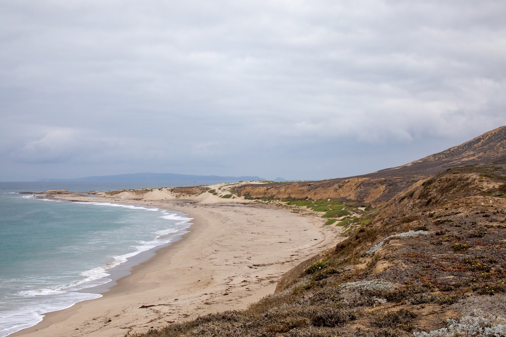 a beach on Santa Rosa Island, with Santa Cruz Island in the background